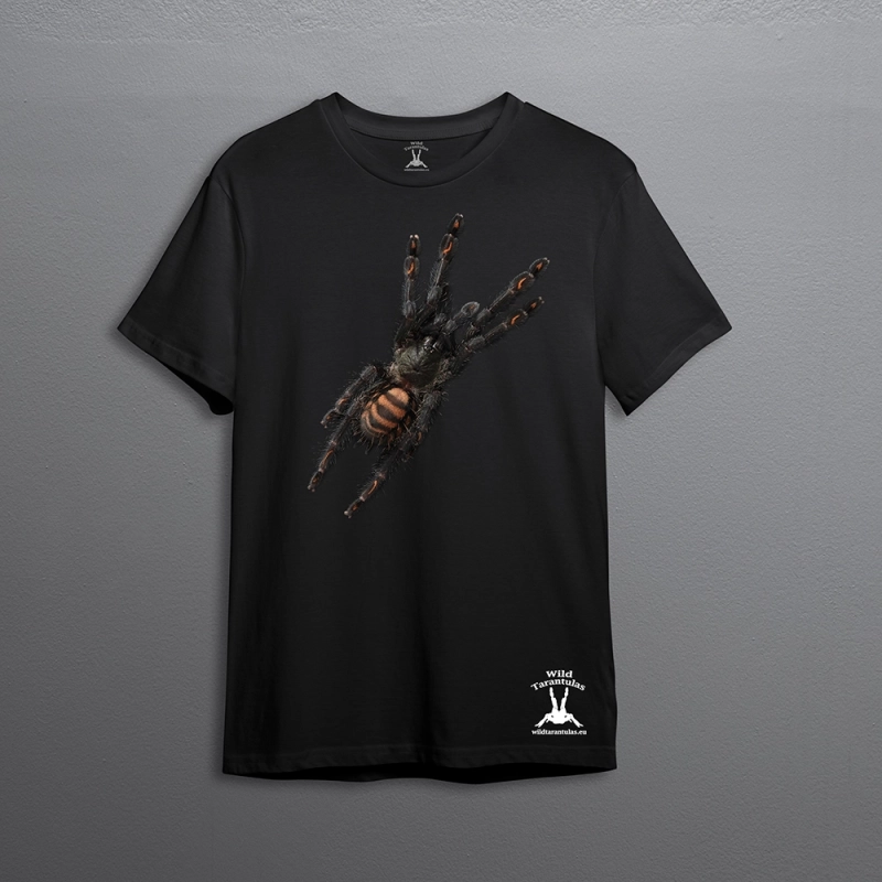 T-shirt Psalmopoeus irminia
