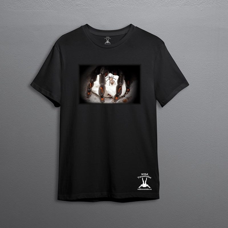 T-shirt Psalmopoeus irminia BK