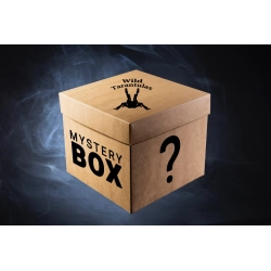 Mystery Box - Mix species (Extra Large size)
