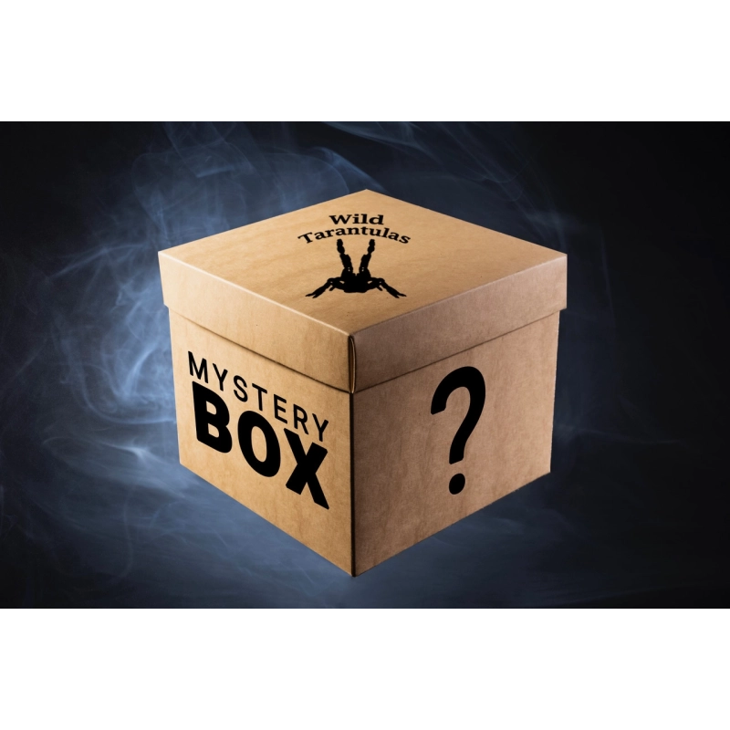 Mystery Box - Mix species (Extra Large size)